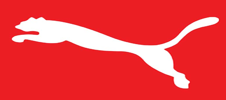 puma puma