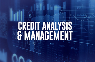 تحليل وإدارة الائتمان