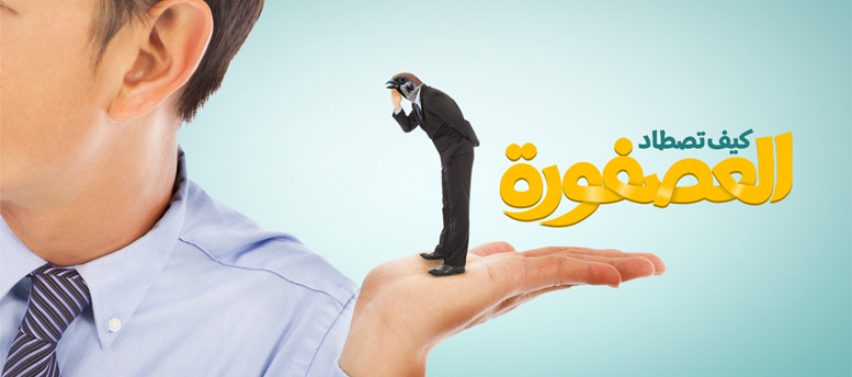 كيف تصطاد الموظف العصفورة كيف تصطاد الموظف العصفورة