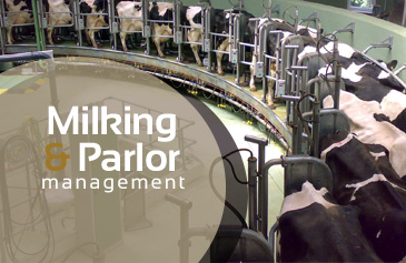 Milking & Parlor management