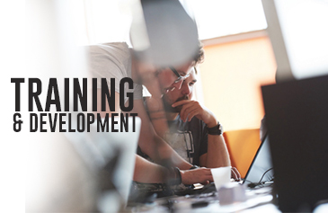 التدريب والتطوير