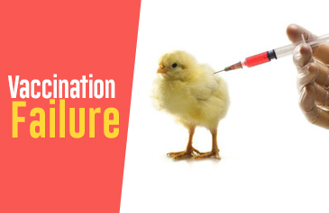 Vaccination Failure