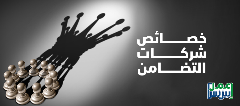 خصائص شركات التضامن خصائص شركات التضامن